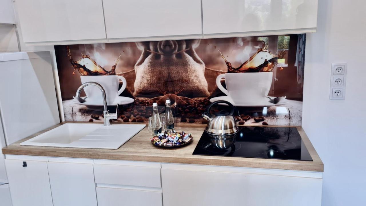 Апартаменты Apartament Kameralny Закопане Экстерьер фото